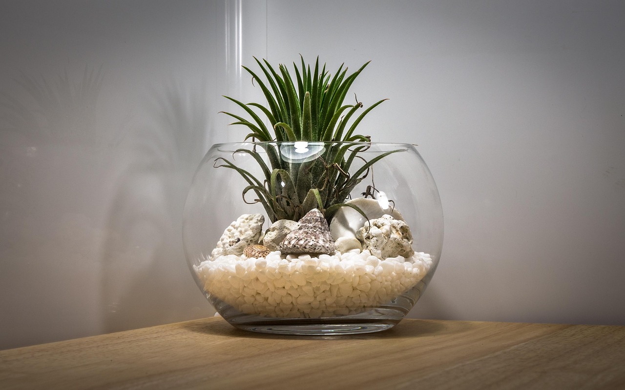 Terrarium mini kaca berisi tanaman sukulen