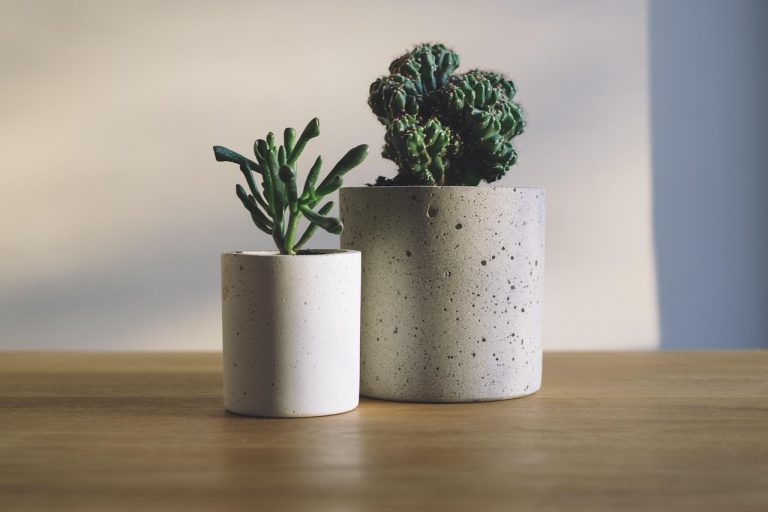 Cara Membuat Pot Beton (Concrete Pot) untuk Tanaman Mini: Alat, Campuran, dan Langkah Lengkap