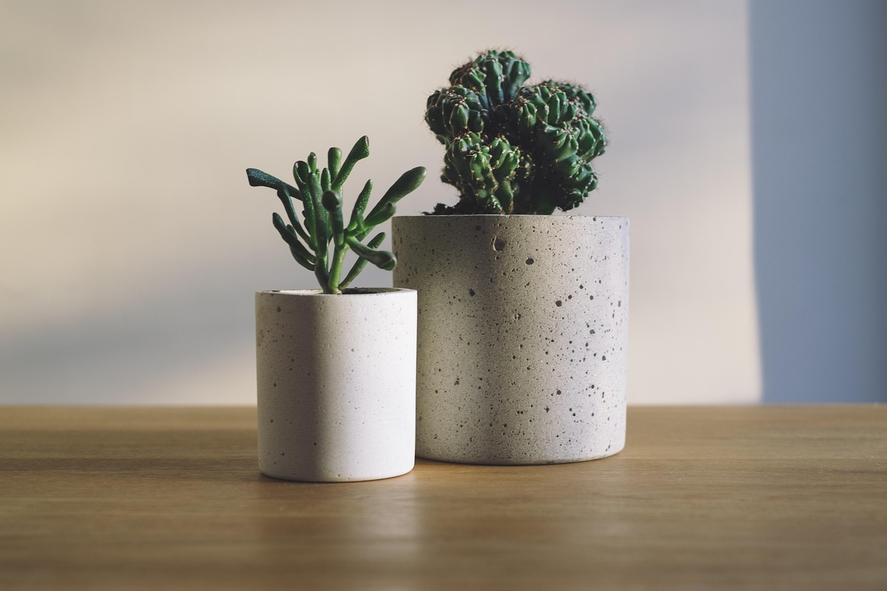 Cara Membuat Pot Beton (Concrete Pot) untuk Tanaman Mini: Alat, Campuran, dan Langkah Lengkap